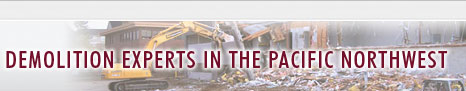 Demolition Experts In The Pacific Northwest
